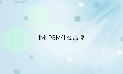 IMIPBM什么品牌(imm什么牌子)